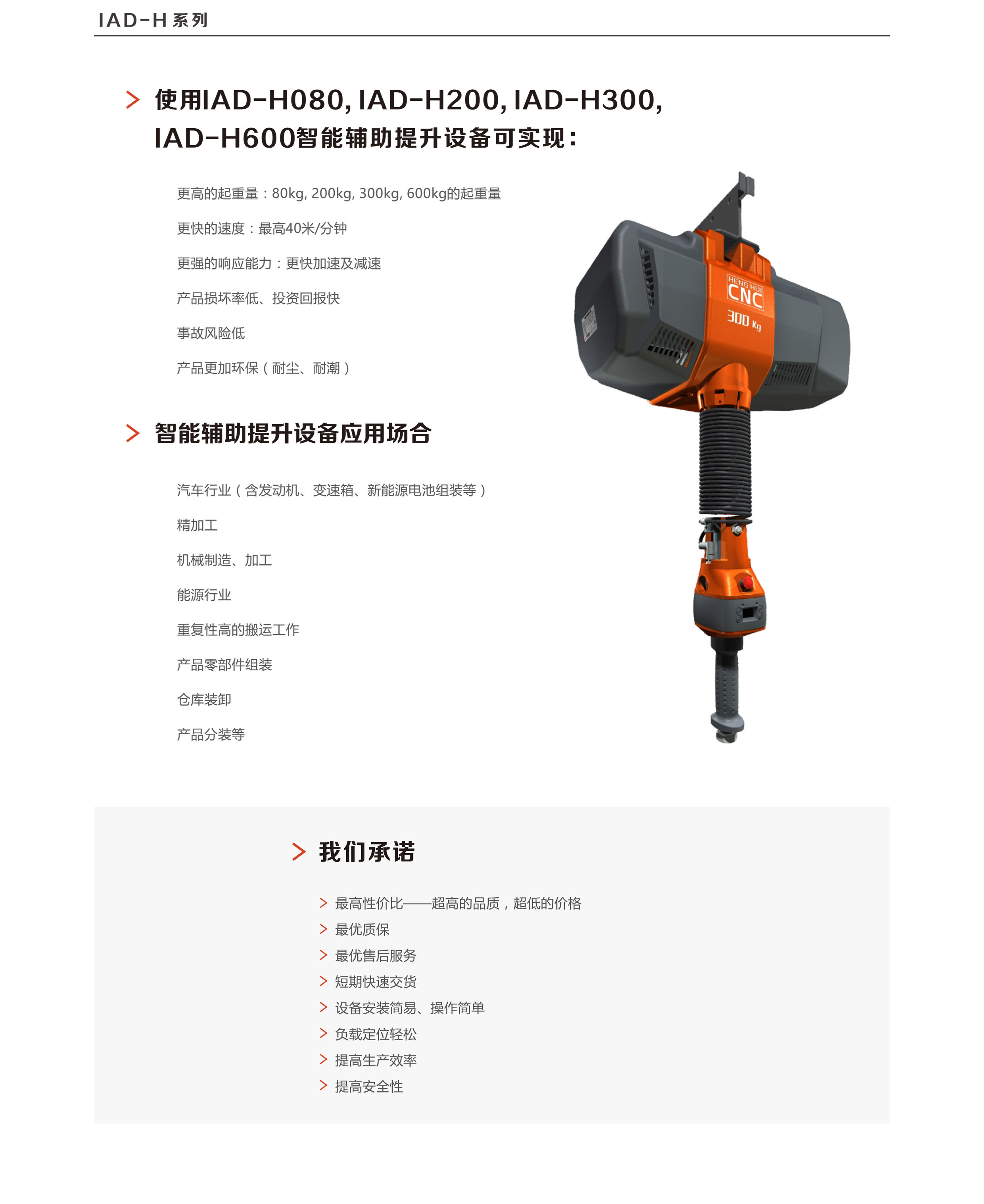 ENDO,智能,提升機(jī),系列,標(biāo)準(zhǔn)型,ENDO,智能